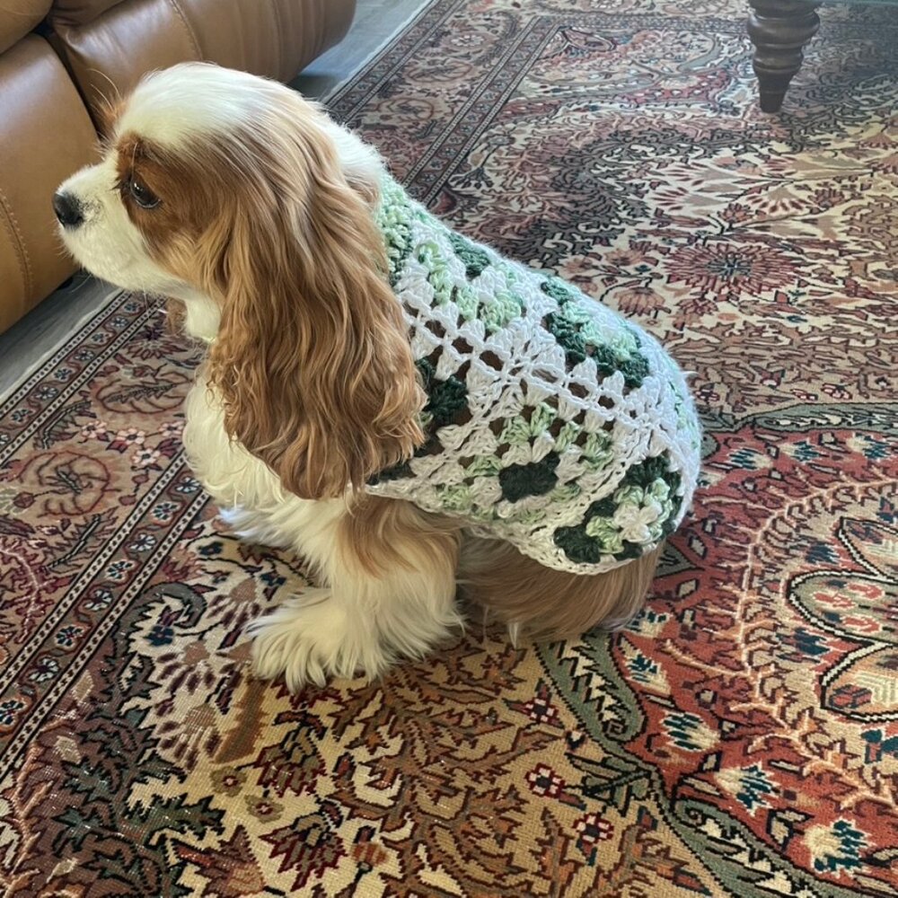 Dog Sweater Large Crochet Granny Square Green Brown Pink - Picture 8 of 11